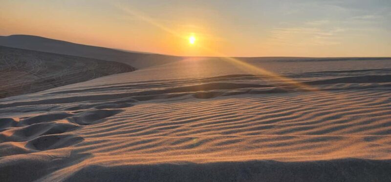 Sunrise or Sunset desert Safari with Sandboarding in Qatar - Final Thoughts: Is This Tour for You?
