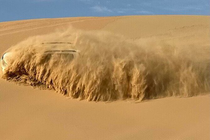 Sunrise Safari in Abu Dhabi's Desert - The Sum Up