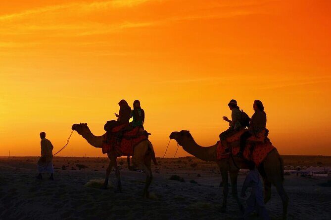Sunrise/Sunset Desert Camel Ride AmazingJaisalmer - A Detailed Look at the Sunrise/Sunset Camel Ride Experience