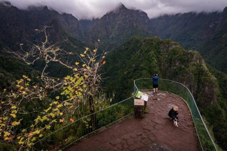sunrise-tour-pico-do-areiro-half-day-4x4-tour-2
