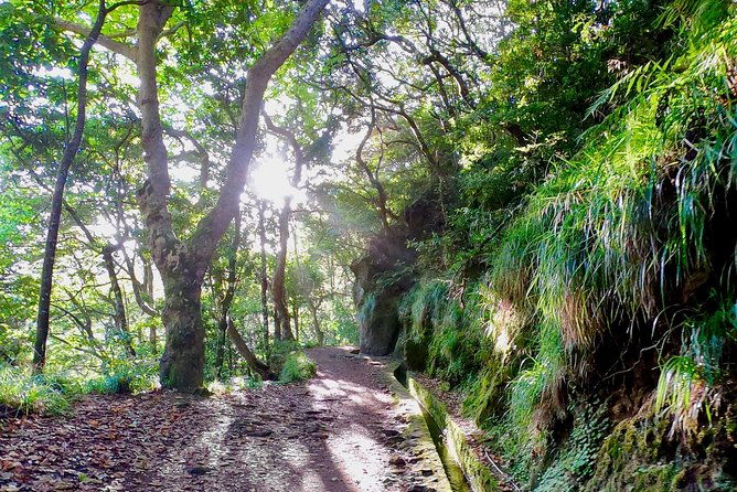 sunrise-tour-pico-do-areiro-half-day-4x4-tour