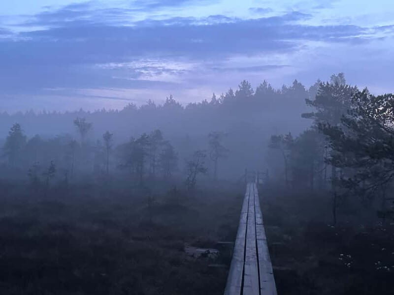 Sunrise Tour To Great Kemeri Bog - Why the Guided Experience Matters