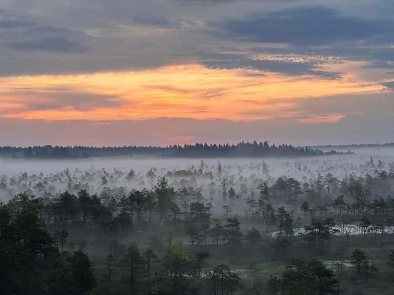 Sunrise Tour To Great Kemeri Bog - Final thoughts