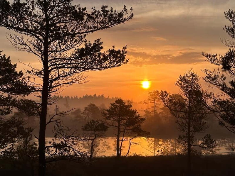 Sunrise Tour To Great Kemeri Bog - FAQ