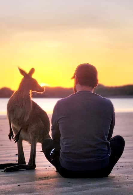 Sunrise with the Kangaroos & Wallabies - Airlie Beach - Final Thoughts