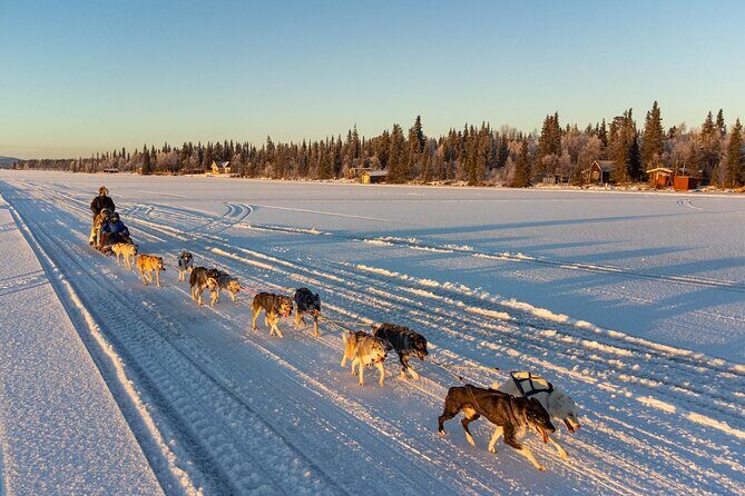 Sunrise Zen Husky Tour (10:00 to 13:00 - sitting on the sled) - Key Points