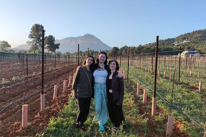 sunset-among-vineyards-with-tasting-in-alicante-min-6-12-people