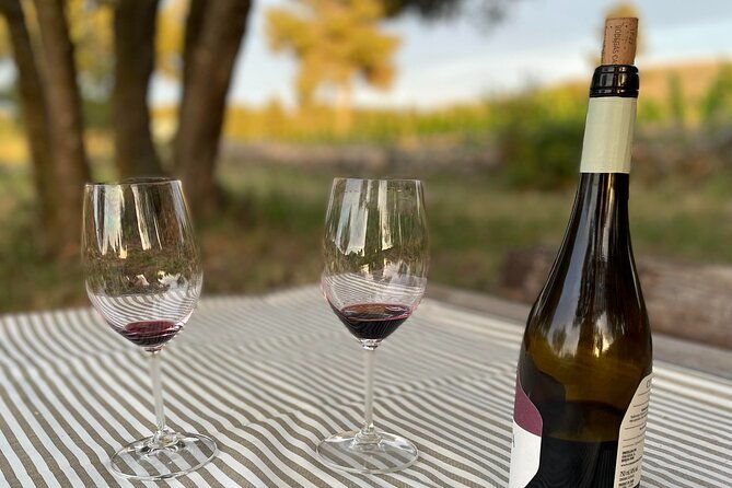 sunset-among-vineyards-with-tasting-in-alicante-min-6-12-people