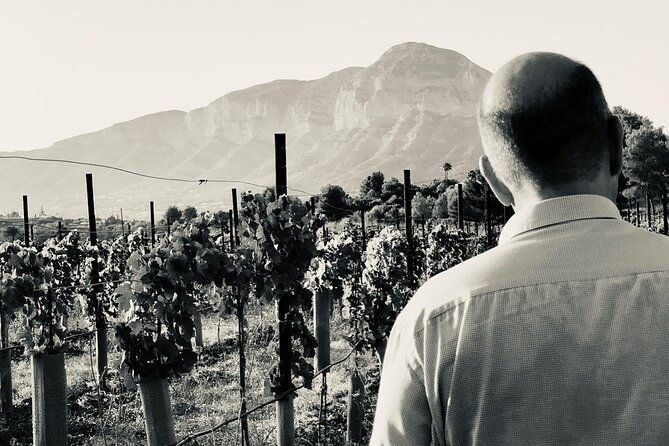 sunset-among-vineyards-with-tasting-in-alicante-min-6-12-people