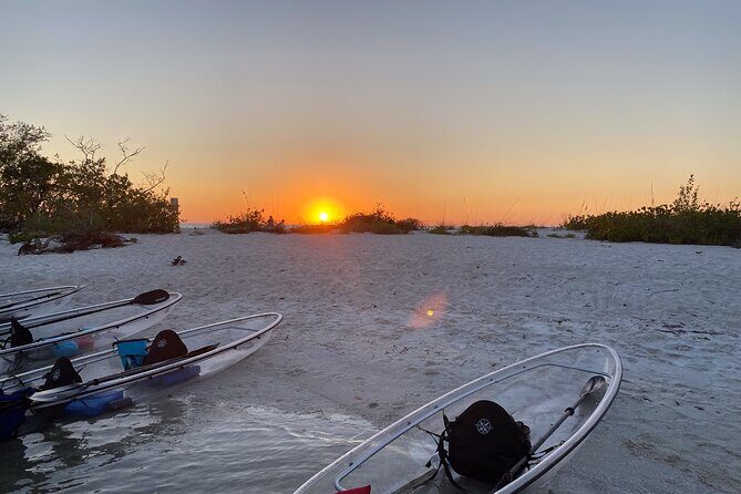 Sunset and Glow Clear Kayak Tour in North Naples - The Experience: What to Expect From Start to Finish