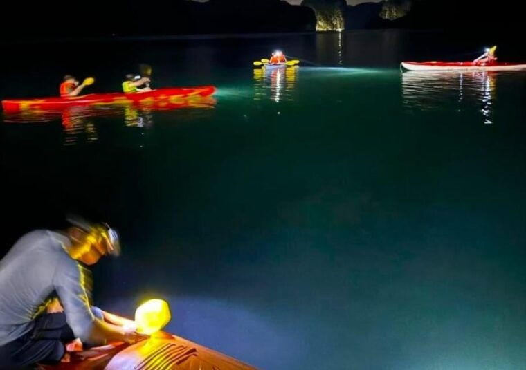 sunset-and-magical-bioluminescence-plankton-night-kayak-tour