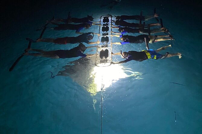 sunset-and-manta-ray-snorkel-adventure