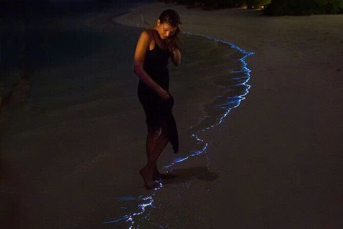 Sunset and Plankton Bioluminescent Night Kayak Lan Ha Bay - Key Points