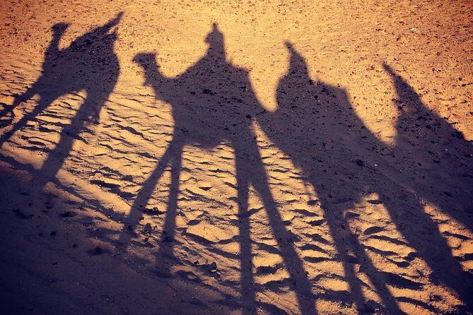 sunset at Giza pyramids by camels - Included Drinks and Cultural Touches