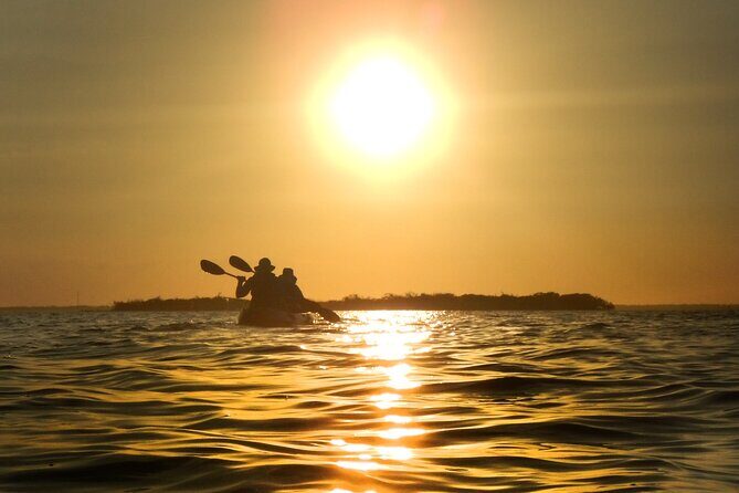 Sunset Bioluminescence Tour - Who Will Love This Tour?