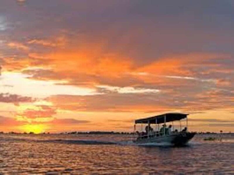 Sunset boat cruise - Sunset Boat Cruise on the Zambezi River: A Relaxing African Experience