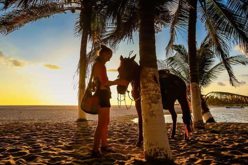 sunset-by-horse-on-the-beach