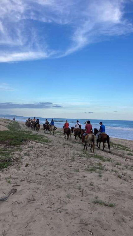 sunset-by-horse-on-the-beach