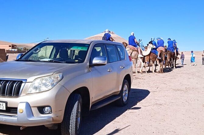Sunset Camel ride Agafay desert including dinner and transport - The Itinerary Decoded: What to Expect
