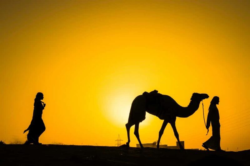 Sunset &camel ride and luxury dinner with fire show - FAQs