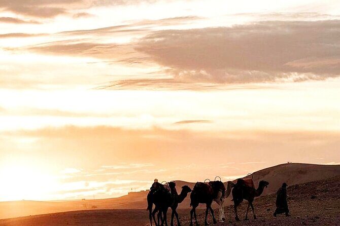 Sunset & Camel Ride & Dinner in Desert Agafay Marrakech - Practical Details & Tips