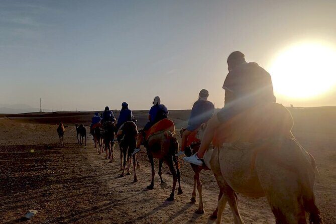 Sunset Camel Ride experience at the Agafay rocky Desert. - Key Points