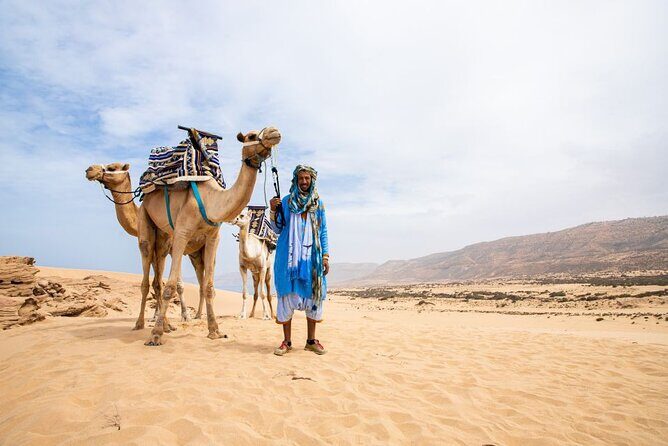 Sunset Camel Ride in Agadir with Dinner in Habitant House - Key Points  