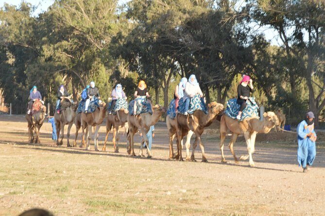 Sunset camel ride in Agadir with transport, tea and cakes. - An Honest Look at the Sunset Camel Ride in Agadir