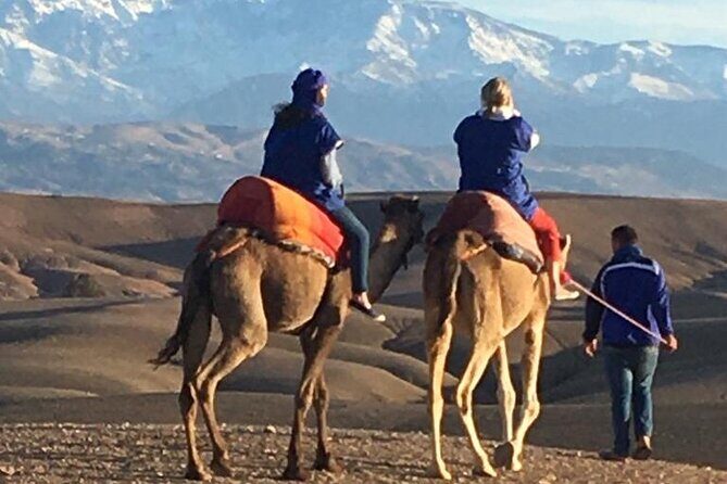 Sunset Camel Ride in Agafay Desert - Exploring the Details of the Sunset Camel Ride