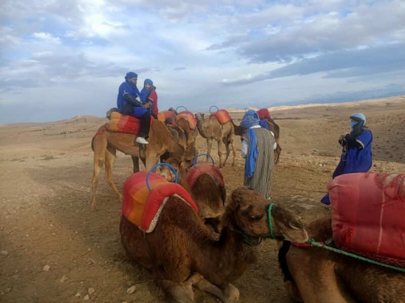 Sunset Camel Ride in Agafay Desert from Marrakech - Key Points