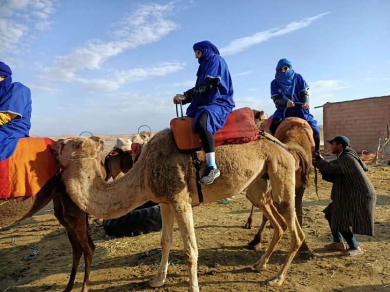 Sunset Camel Ride in Agafay Desert from Marrakech - Who Will Love This Experience?