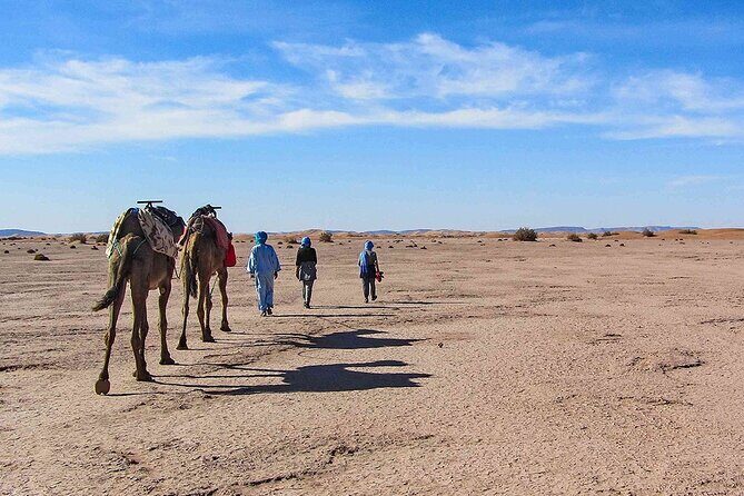 Sunset Camel ride in Agafay Desert from Marrakech - Who This Tour Is Best For