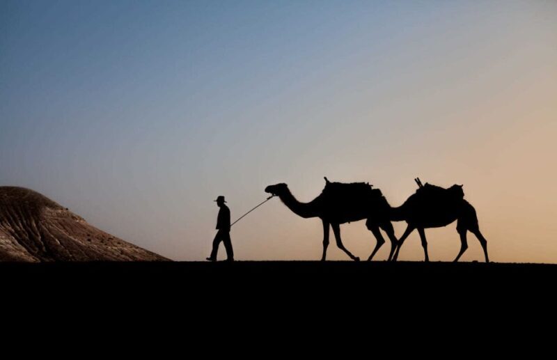 Sunset Camel Ride in Agafay Desert with dinner and pool - Key Points