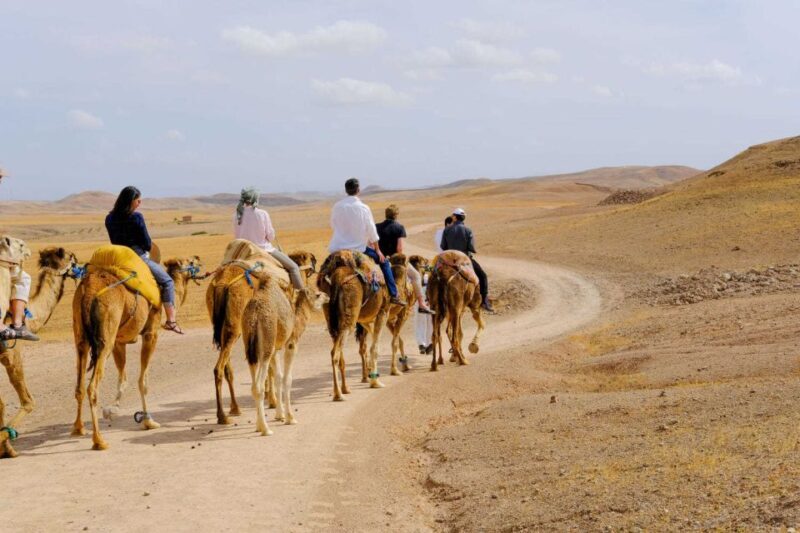 Sunset Camel Ride in Agafay Desert with dinner and pool - An Authentic Desert Experience Close to Marrakech