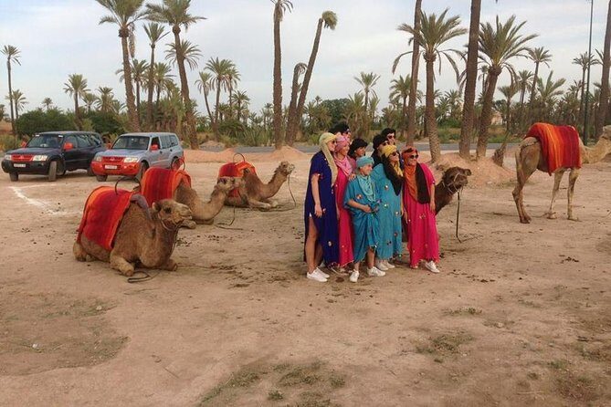 Sunset Camel Ride In Marrakech Palm Grove - Key Points