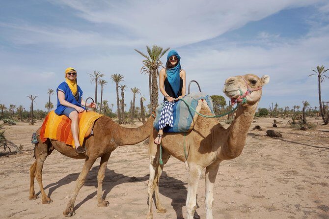 Sunset Camel Ride In Marrakech Palm Grove - Why This Tour Offers Great Value
