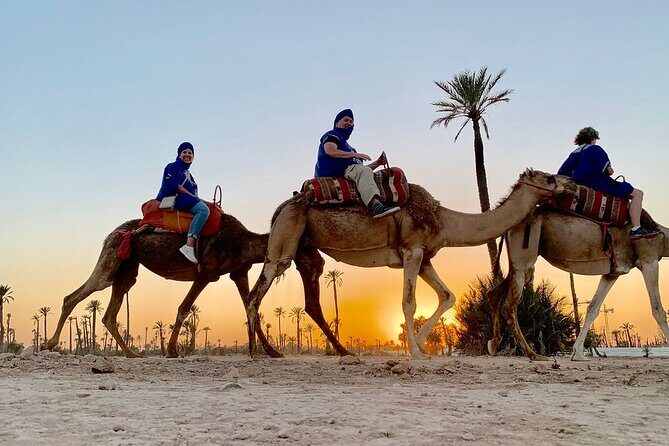 Sunset Camel Ride in the Palm Grove of Marrakech - A Closer Look at the Experience