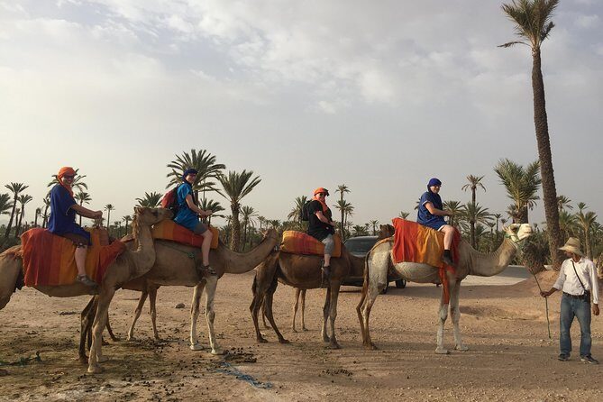 Sunset Camel Ride in the Palm Groves of Marrakech - Why This Tour Is Worth Considering