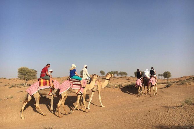 Sunset Camel Ride Including BBQ Dinner From Ras Al Khaimah - Who Should Book This Tour?