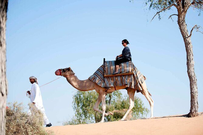 Sunset Camel Ride Including BBQ Dinner From Ras Al Khaimah - Final Thoughts