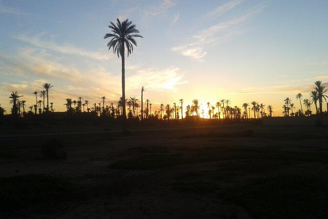 Sunset Camel Ride Marrakech with Transfers - Key Points