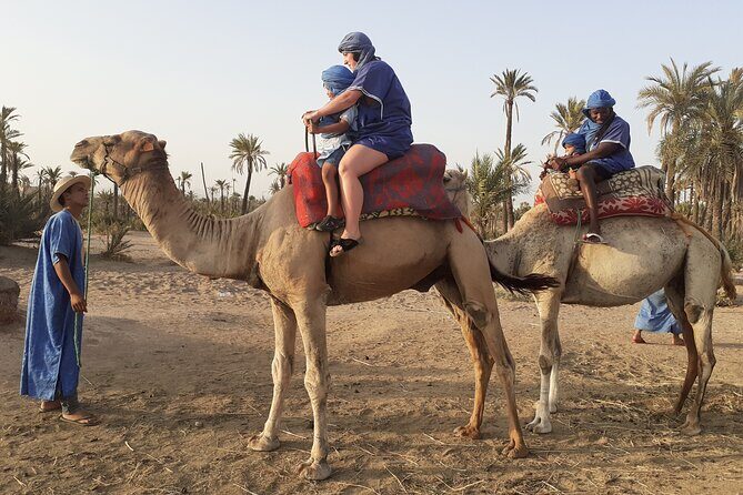 Sunset Camel Ride Marrakech with Transfers - Critical Considerations