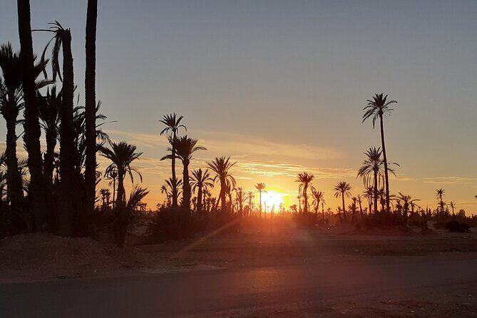 Sunset Camel Ride Marrakech with Transfers - Why This Tour Works Well for Different Travelers