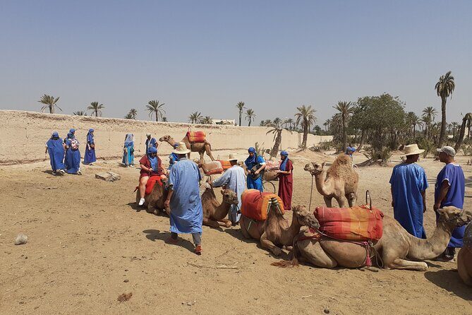 Sunset Camel Ride Marrakech with Transfers - The Sum Up