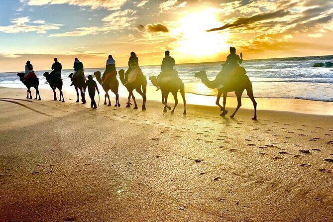 Sunset Camel Ride on Achakkar Beach including Traditional Dinner - An In-Depth Look at the Itinerary  