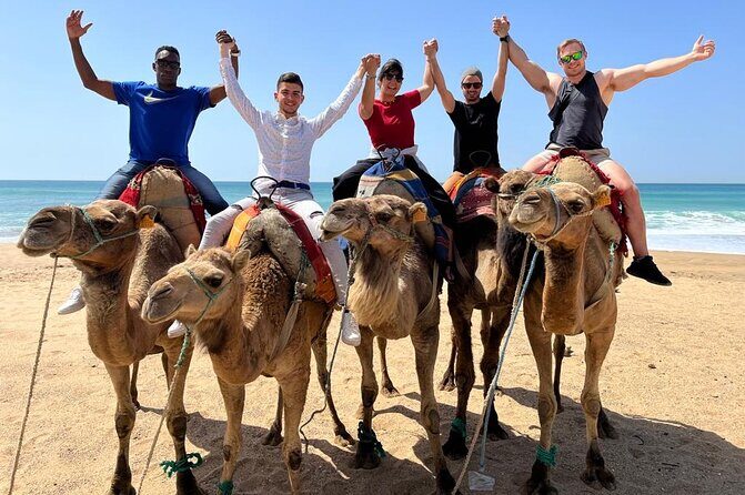 Sunset Camel Ride on Achakkar Beach including Traditional Dinner - Final Thoughts  