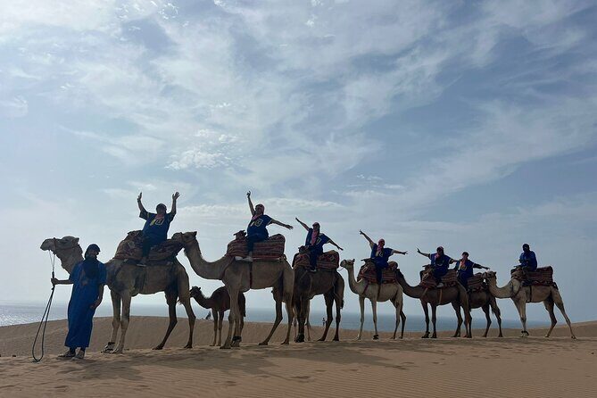 Sunset Camel Ride tour with Barbecue dinner in the beach - Key Points