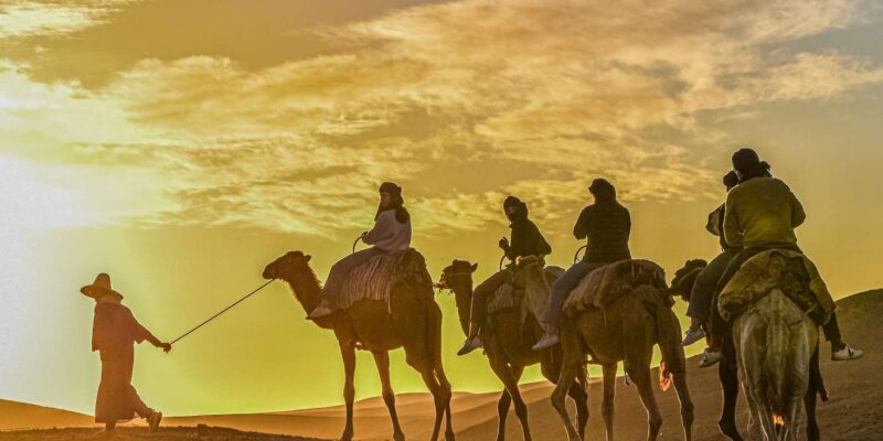 Sunset Camel Ride with an Authentic Dinner in an Oasis - Understanding the Experience: What to Expect