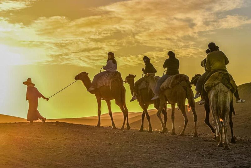 Sunset Camel Ride with an Authentic Dinner in an Oasis - The Experience in Context: Why It Matters