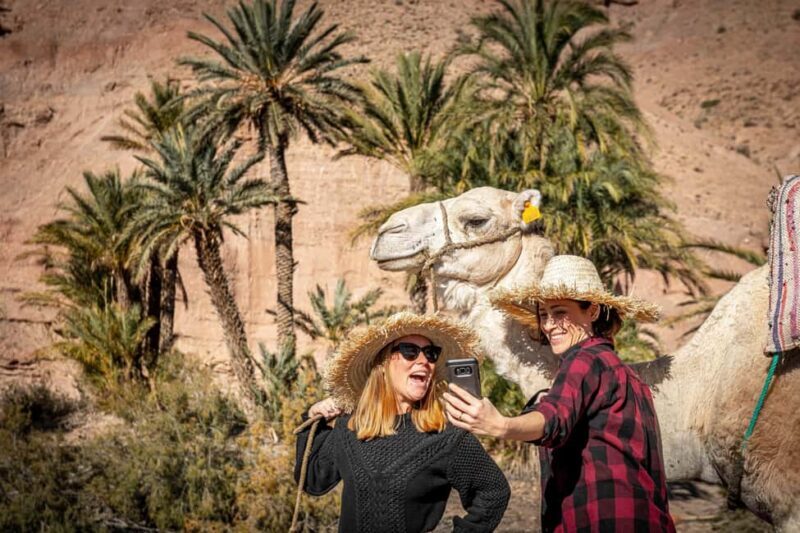Sunset Camel Ride with an Authentic Dinner in an Oasis - Final Thoughts